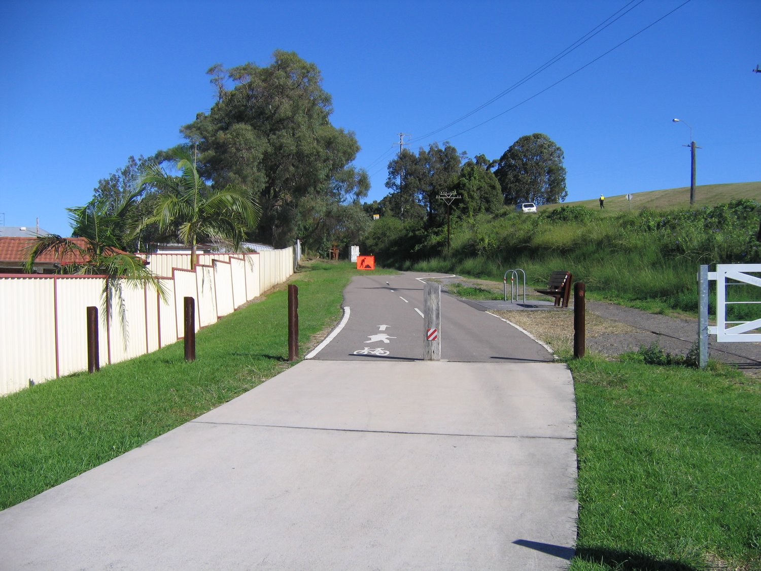 The Fernleigh Track sealed bike path running past paperbarks at the Adamstown end